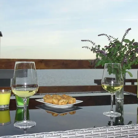 Villa-am-meer-fuer-12-personen-mit-pool Posedarje